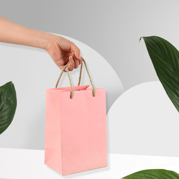 Paper Bag Custom Logo