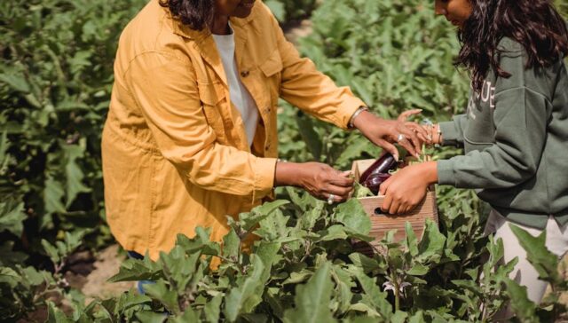 Before and after comparison of packaging redesign—left side flat glossy box in bright colors right side earthy textured box with organic shapes showing side by side on retail shelf mockup