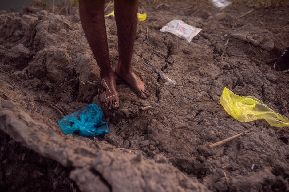 Infographic comparing fiber based and plastic packaging lifecycles showing decomposition timelines and carbon footprints