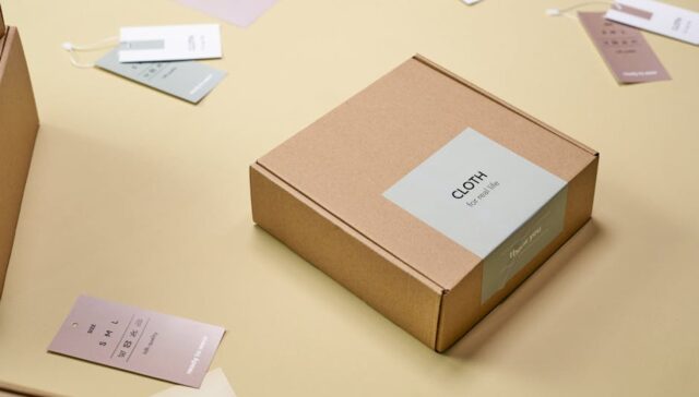 Infographic showing common mailer box sizes with measurements product examples like apparel and cosmetics inside clean vector style with labels